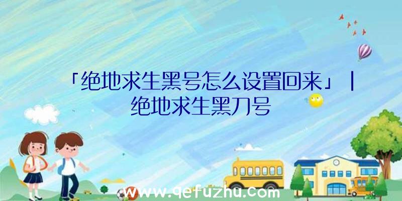 「绝地求生黑号怎么设置回来」|绝地求生黑刀号